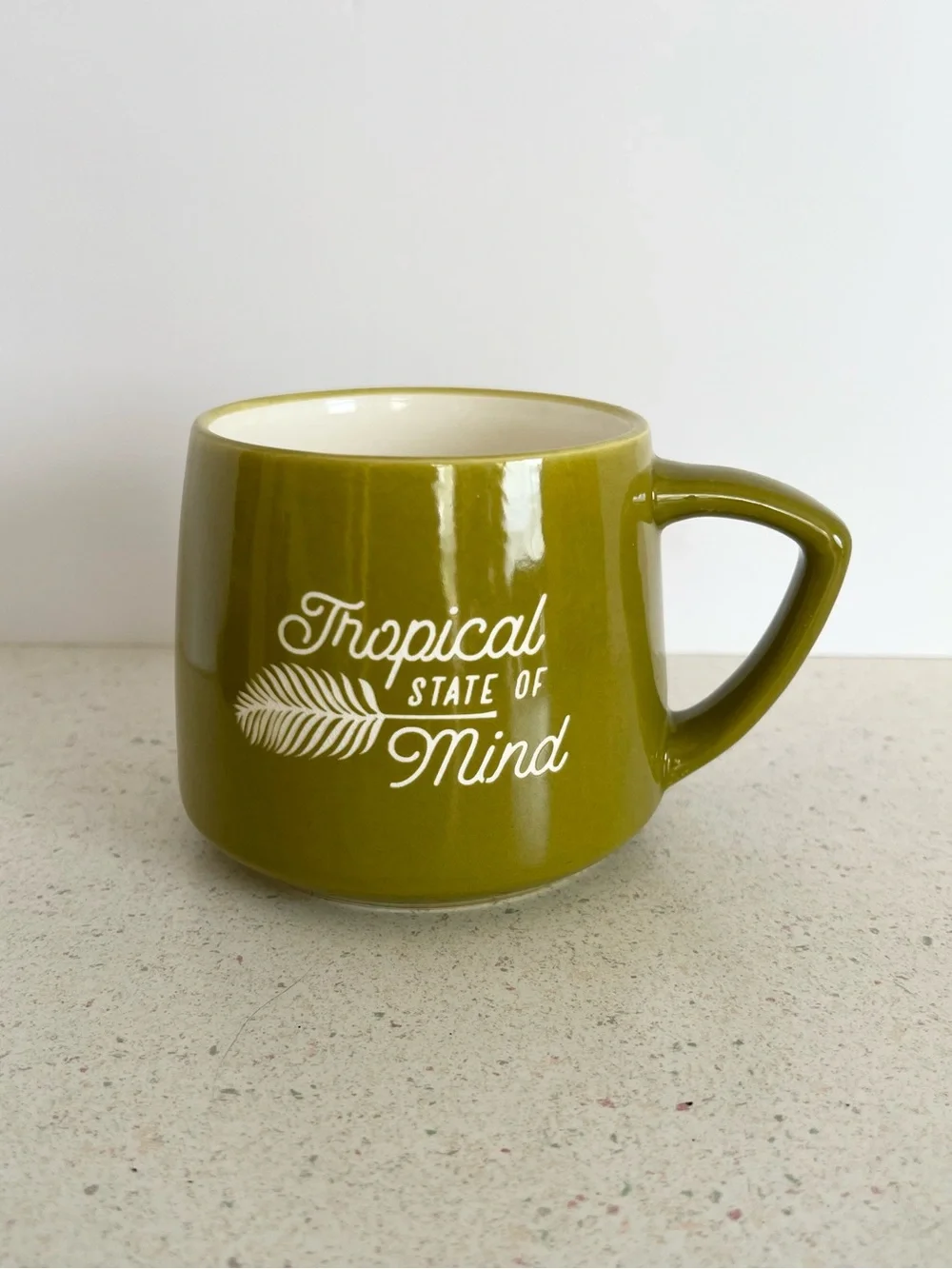 Place & Time “ Tropical State Of Mind” Palm Leaf Green 16oz Ceramic Coffee Mug
